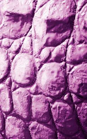 Alive! Crocodile Skin - Magenta Duotone - Photo Art Notebooks (5 X 8 Series) de Eva-Lotta Jansson