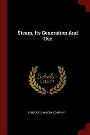 Steam, Its Generation and Use de Babcock & Wilcox Co