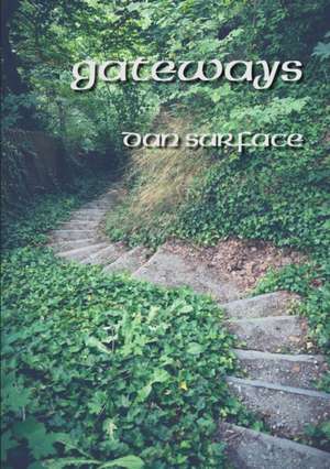 Gateways de Dan Surface
