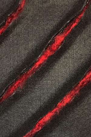 SUBLIMATE de Star Trauth