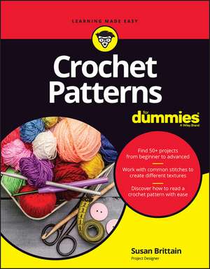 Crochet Patterns For Dummies de S Brittain