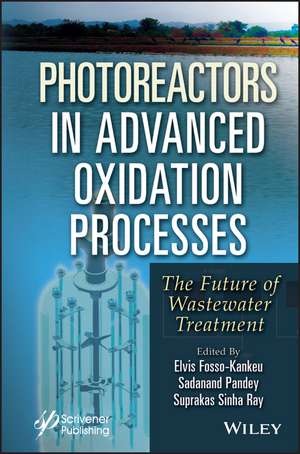 Photoreactors in Advanced Oxidation Process – The Future of Wastewater Treatment de Fosso–Kankeu