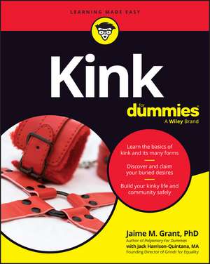 Kink for Dummies de Jaime M Grant