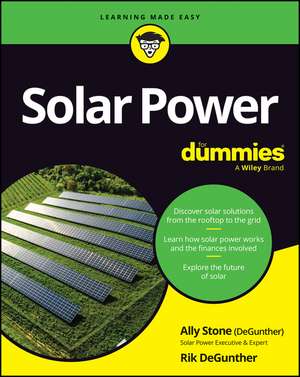 Solar Power for Dummies de Ally Stone