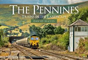 The Pennines de David Hayes