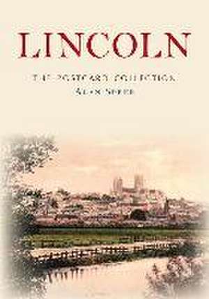 Lincoln: The Postcard Collection de Alan Spree