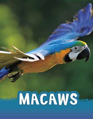 Macaws de Jaclyn Jaycox