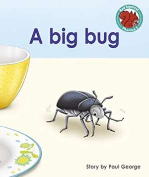 A big bug de Paul George