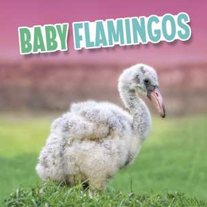 Baby Flamingos de Martha E. H. Rustad