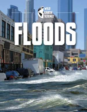 Floods de Rachel Werner