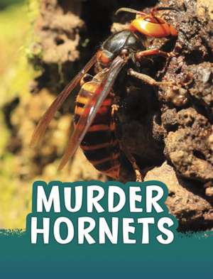 Murder Hornets de Jaclyn Jaycox