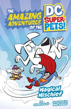 Magical Mischief de Steve Korte