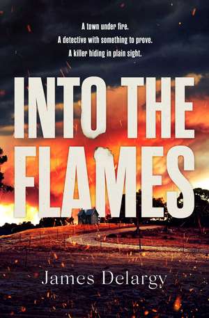 Into the Flames de James Delargy