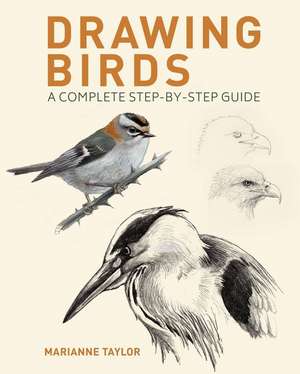 Drawing Birds de Marianne Taylor