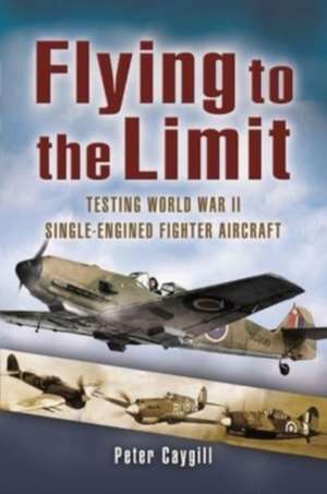 Flying to the Limit de Peter Caygill