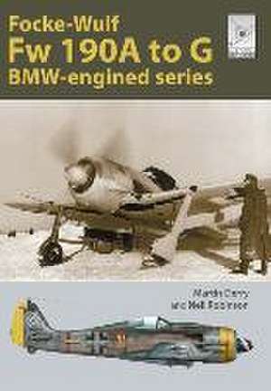 Flight Craft Special 2: The Focke-Wulf Fw 190 de Martin Derry