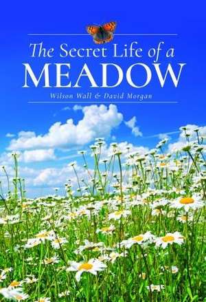 The Secret Life of a Meadow de David Morgan