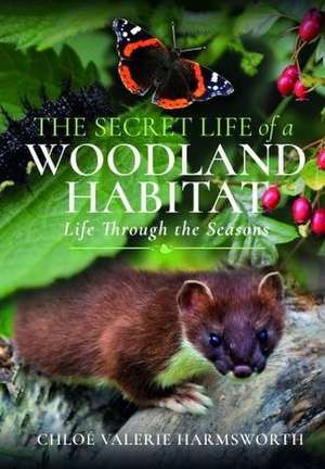 The Secret Life of a Woodland Habitat: Life Through the Seasons de Chloé Valerie Harmsworth