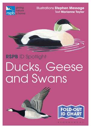 RSPB ID Spotlight - Ducks, Geese and Swans de Stephen Message