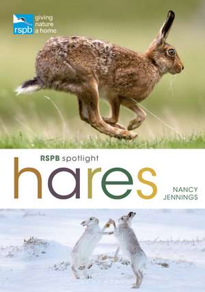 RSPB Spotlight Hares de Nancy Jennings