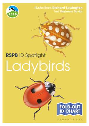 RSPB ID Spotlight - Ladybirds de Marianne Taylor