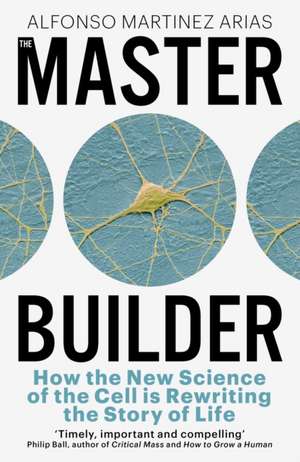 The Master Builder de Alfonso Martinez Arias