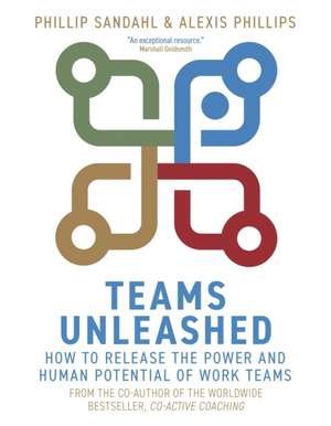 Teams Unleashed de Phillip Sandahl