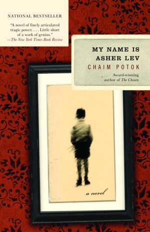 My Name Is Asher Lev de Chaim Potok