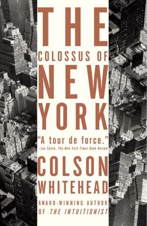 The Colossus of New York: Stories of Men in Trouble de Colson Whitehead