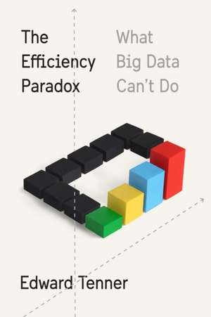 The Efficiency Paradox: What Big Data Can't Do de Edward Tenner