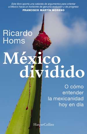 México dividido de Ricardo Homs