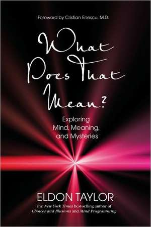 What Does That Mean?: Exploring Mind, Meaning, and Mysteries de Eldon Taylor