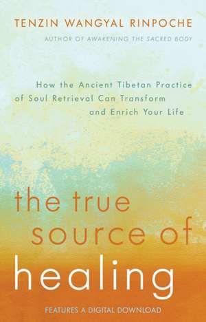 The True Source of Healing de Tenzin Wangyal Rinpoche