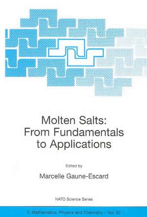 Molten Salts: From Fundamentals to Applications de Marcelle Gaune-Escard