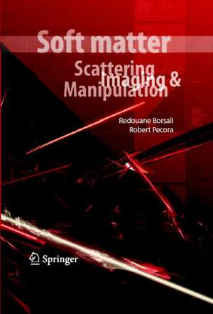 Soft-Matter Characterization de Redouane Borsali