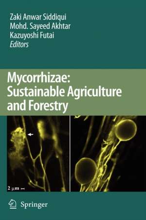 Mycorrhizae: Sustainable Agriculture and Forestry de Zaki Anwar Siddiqui