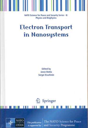 Electron Transport in Nanosystems de Janez Bonca