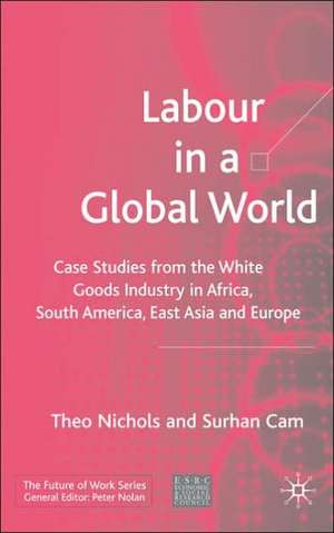 Labour in a Global World: Case Studies from the White Goods Industry in Africa, South America, East Asia and Europe de T. Nichols