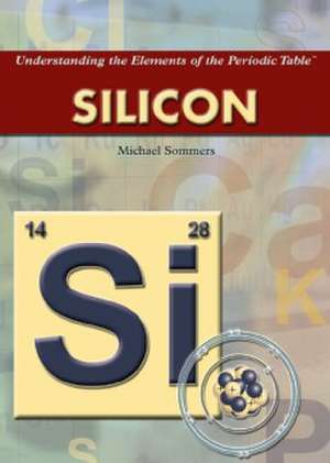 Silicon de Michael A. Sommers