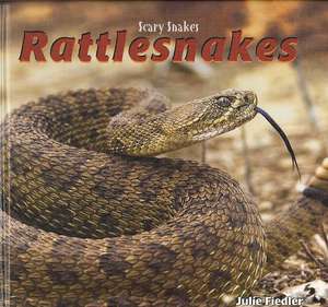 Rattlesnakes de Julie Fiedler