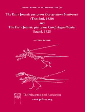 Early Jurassic pterosaur Dorygnathus banthensis (Theodori, 1830) and The Early Jurassic pterosaur Campylognathoides Strand, 1928 de KP Padian