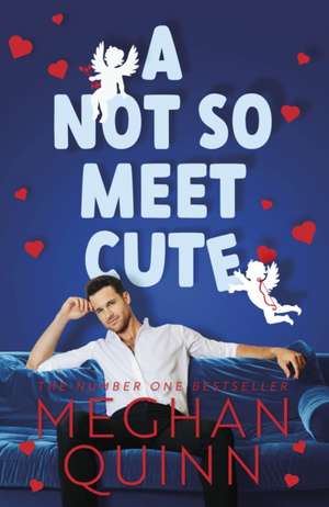 A Not So Meet Cute de Meghan Quinn