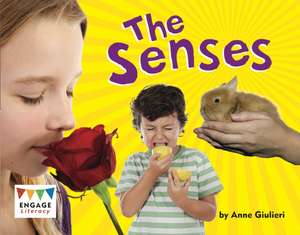Senses de Anne Giulieri
