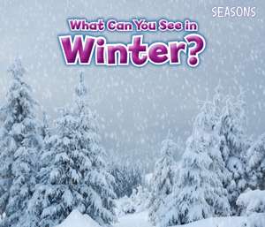 What Can You See In Winter? de Sian Smith