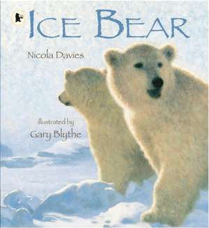 Ice Bear de Nicola Davies