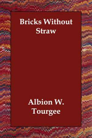 Bricks Without Straw de Albion Winegar Tourgee