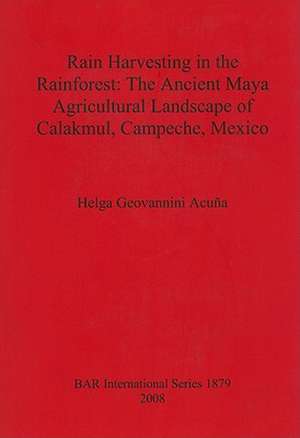 Rain Harvesting in the Rainforest: The Ancient Maya Agricultural Landscape of Calakmul, Campeche, Mexico de Helga Geovannini Acuna