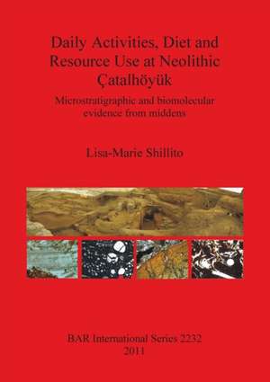 Daily Activities, Diet and Resource Use at Neolithic Catalhoyuk de Lisa-Marie Shillito