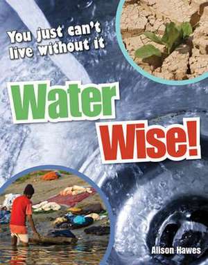 Water Wise!: Age 9-10, average readers de Alison Hawes