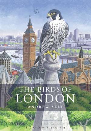 The Birds of London de Mr Andrew Self